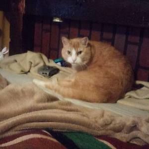 Meet your Posher, Javier